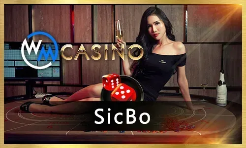 Diverse online casino games available for thrilling playtime